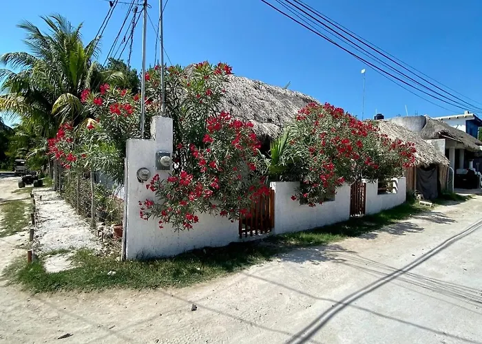 The House Of Flowers With A Courtyard Of Warm Lights